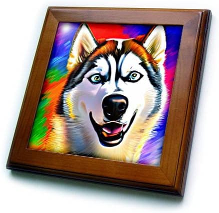 3drose Siberian Husky câine portret. Cadou de artă digitală pentru rasă. - Plăci Încadrate