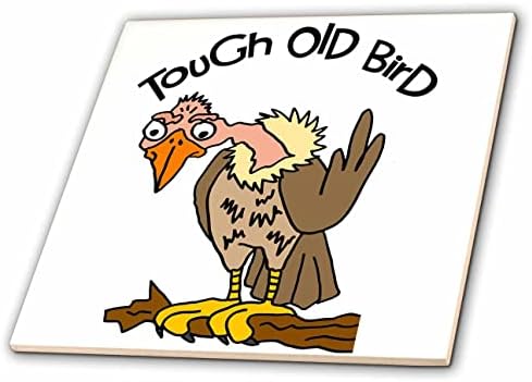 3drose amuzant drăguț Buzzard vechi ca greu pasăre vechi vârstă de desene animate-gresie