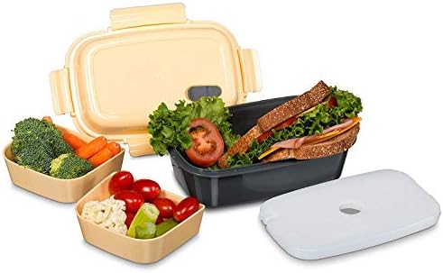 Fresh Box Premium Bento Lunch Box-Propro-scurgere, fără BPA, multi-compartiment, evacuare cu microunde detașabilă, recipient