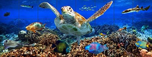 Shark Reef Tile Mural 18 x 48 inci / fotografii subacvatice imprimate pe plăci ceramice lucioase / fotografie originală de artistul Florida Keys Nadine și Glenn Lahti