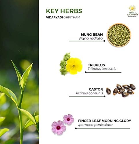 Kerala Ayurveda Vidaryadi Ghritham-Ghee pe bază de plante pentru a promova sistemul respirator sănătos și pentru a menține