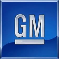 General Motors, absorbant W, 25984613