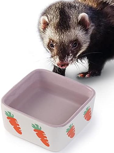 Accesorii JanYoo dihor bol alimentar boluri de alimentare cu apă pentru cușcă hrănire pentru animale mici și provizii de udare pentru Rezervor de sticlă violet
