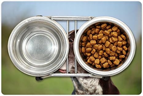 Ambesonne Hunting pet Mat pentru hrană și apă, Pointer German cu păr scurt în sălbăticie Fotografie portret Kurzhaar Pet Dog,