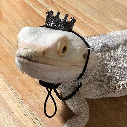 Accesorii cu haine de dragon cu barbă de Halloween, Costume de pălărie de șopârlă cu barbă reglabilă pentru reptile de șopârlă