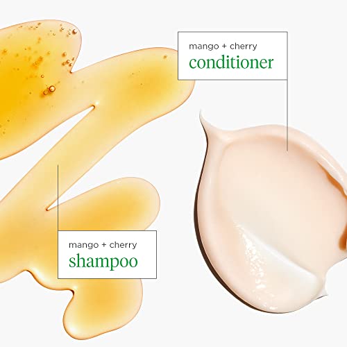 Briogeo Superfoods Mango + Cherry Balancing Shampoo and Conditioner Duo / reface părul plictisitor și uscat și susține părul